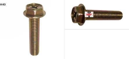 สกรูหัวเหลี่ยมติดแหวน สีรุ้งทอง ( DHW+)