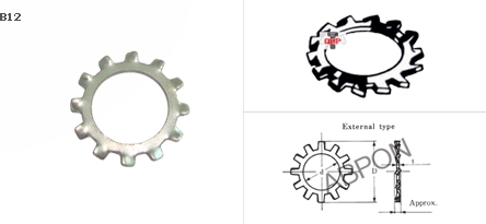 แหวนจักรนอก BW