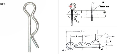 ปิ๊นตัวอาร์ SSP