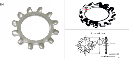 แหวนจักรนอกสแตนเลส BW