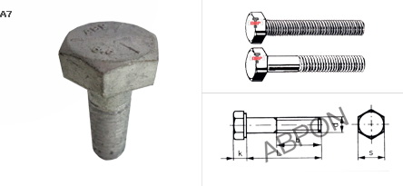 สกรูหัวเหลี่ยม ชุบสังกะสี หุน (H.D.G)