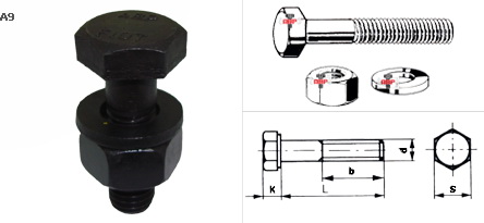 สกรูพร้อมน๊อตและ 1 แหวนอีแปะดำ A490